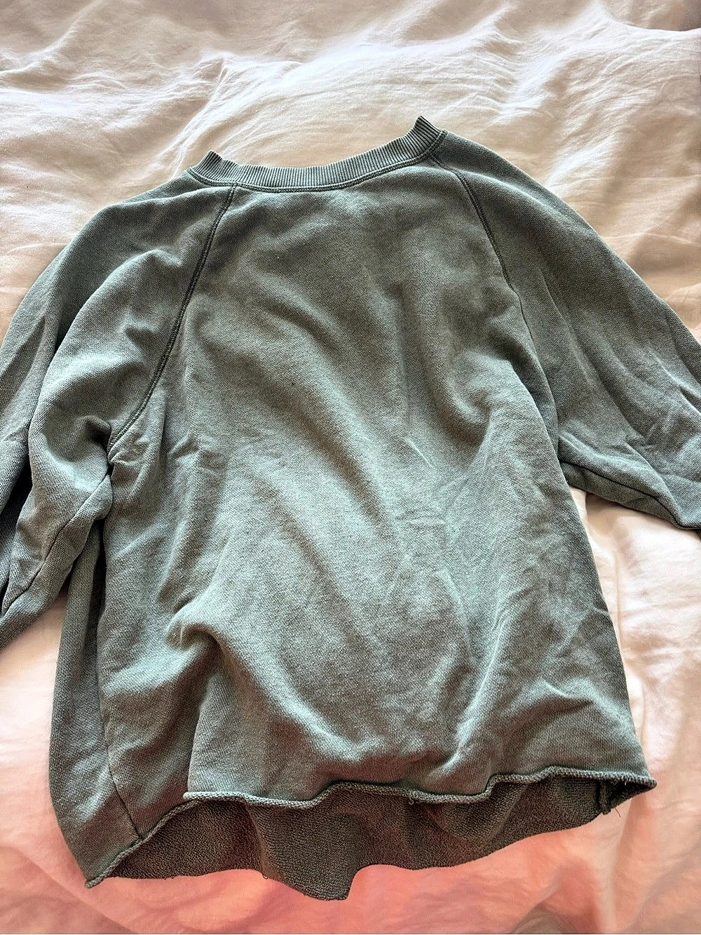 Aerie Sage Green Sweatshirt Size Small